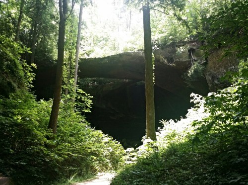 A natural stone arch surrounded by lush green trees and foliage, with sunlight filtering through the canopy.