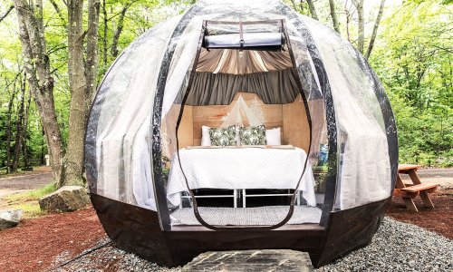 A transparent dome-shaped tent with a bed inside, surrounded by trees and gravel, offering a cozy outdoor retreat.