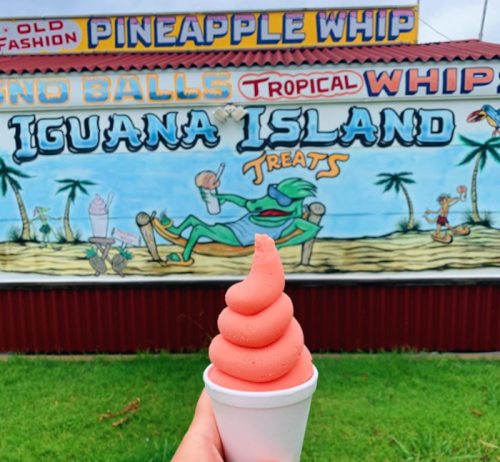 A hand holds a soft-serve ice cream cone in front of a colorful mural featuring a lounging iguana and tropical scenery.