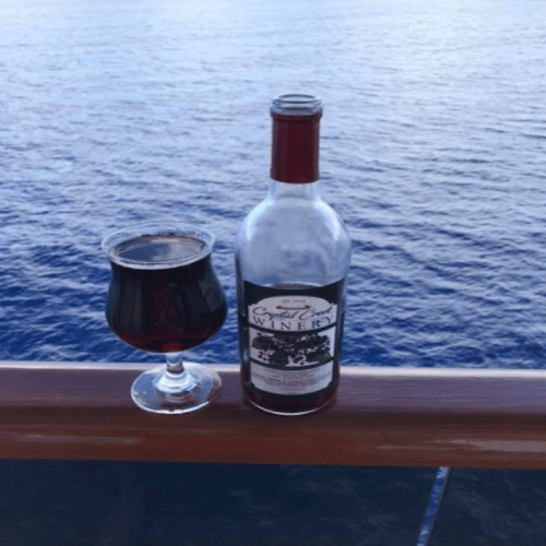 A glass of red wine next to a bottle on a wooden railing, with a blue ocean in the background.