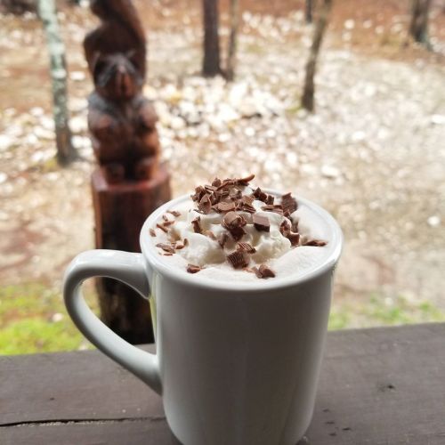 A mug of hot chocolate topped with whipped cream and chocolate shavings, with a forest backdrop and a wooden carving.