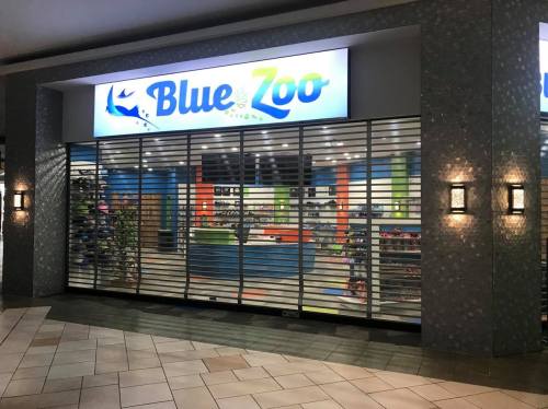 Storefront of "Blue Zoo" with a closed security gate, colorful interior visible through the slats.