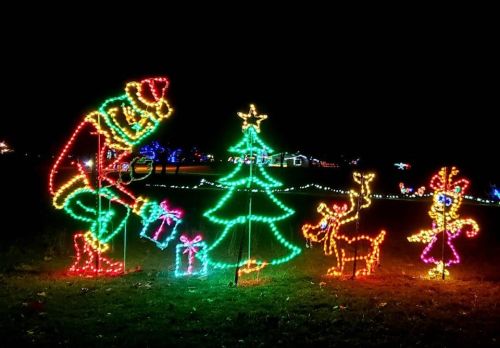 Colorful Christmas lights depicting Santa, a tree, a reindeer, and a festive character in a nighttime setting.