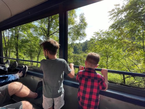 Two children look out a bus window at a lush green landscape, enjoying a sunny day.