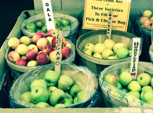 Baskets of apples labeled Gala, Logano, and Honeycrisp at a pick-your-own fruit stand.