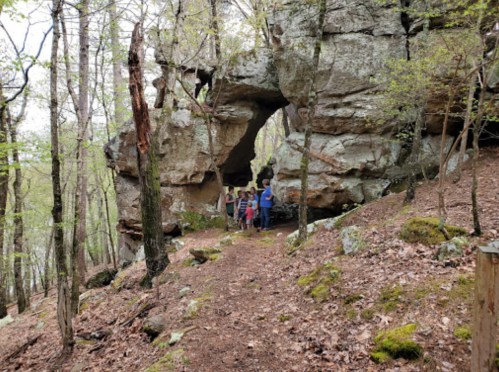 A group of people stands near a large rock formation in a wooded area, surrounded by trees and fallen leaves.