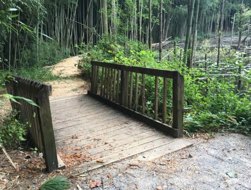 A small wooden bridge over a path surrounded by lush greenery and bamboo.