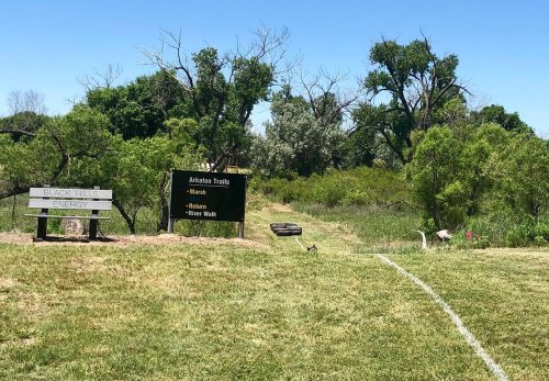 Sign for Aviation Trails with directions to various paths, surrounded by greenery and trees on a sunny day.