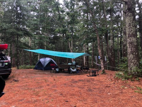 A campsite in a forest with a tent, picnic table, and a blue tarp set up for shade among pine trees and fallen needles.