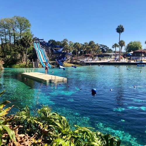 A sunny water park scene featuring a blue water slide, a swimming area, and palm trees surrounding a clear blue pool.