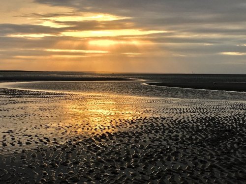 Sunset over a calm beach, with golden rays reflecting on wet sand and gentle ripples in the water.