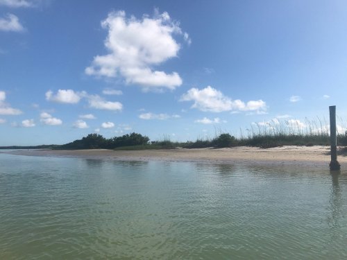 A serene beach scene with calm water, sandy shore, and lush greenery under a blue sky with fluffy clouds.