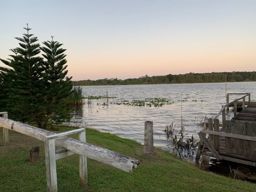 A serene lakeside view at dusk, featuring water lilies, trees, and a wooden dock along the shore.