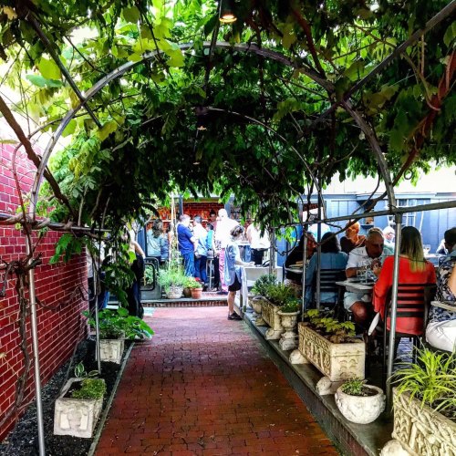 A lush, green vine-covered archway leads to a bustling outdoor dining area with people enjoying their meals.