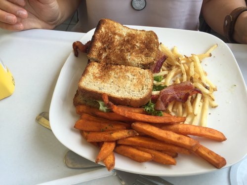 A plate with a toasted sandwich, bacon, and a side of sweet potato fries and regular fries.
