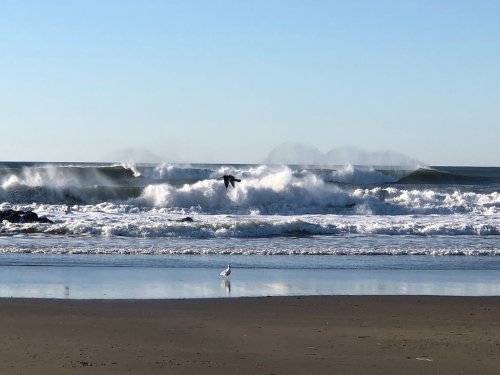 A serene beach scene with crashing waves, a bird flying above, and a seagull standing on the wet sand.