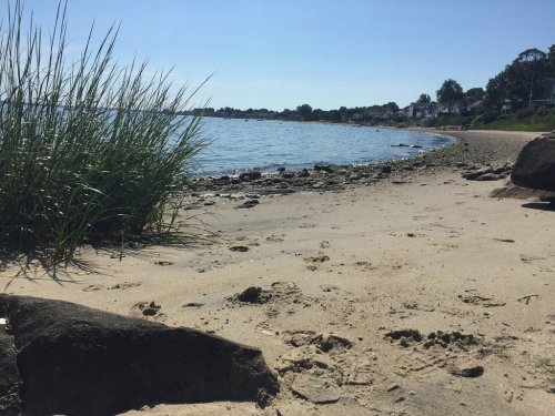 A sandy beach with grass and rocks, overlooking calm water and a clear blue sky.