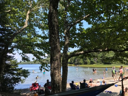 A sunny beach scene with people swimming and relaxing under trees by the water's edge.