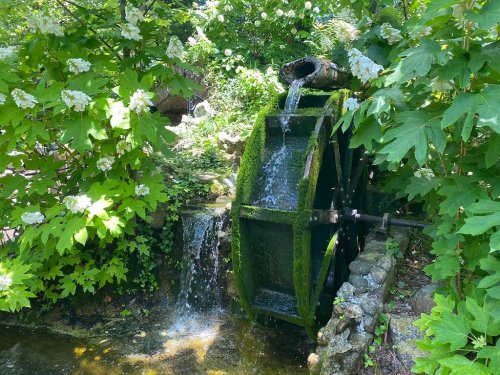 A moss-covered water wheel surrounded by lush greenery and flowing water, creating a serene natural scene.