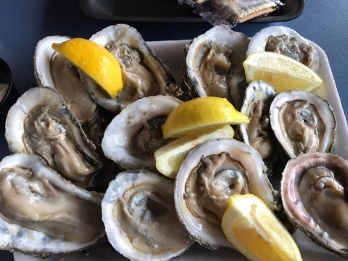 A platter of fresh oysters on the half shell, garnished with lemon wedges.
