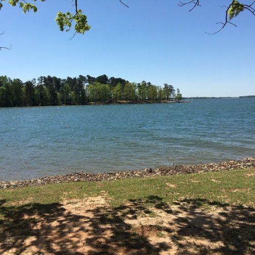 A serene lake view with clear blue water, a sandy shore, and lush green trees lining the opposite bank under a clear sky.