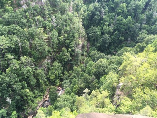 Aerial view of a lush green forested valley with a small stream running through it.