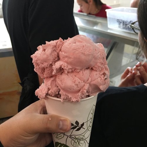 A hand holding a cup filled with pink ice cream scoops, with a blurred background of people at an ice cream shop.