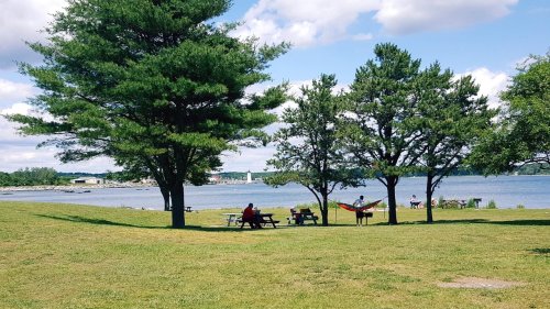 A serene lakeside scene with trees, picnic tables, and a hammock, under a partly cloudy sky.