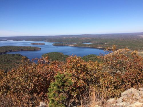 A scenic view of a lake surrounded by forested islands and rolling hills under a clear blue sky.