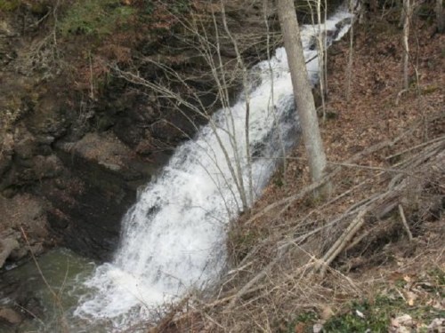 A cascading waterfall flows over rocky terrain, surrounded by trees and dry leaves in a natural setting.