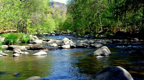 A serene river flows through a lush green landscape, with smooth rocks scattered along the water's edge.