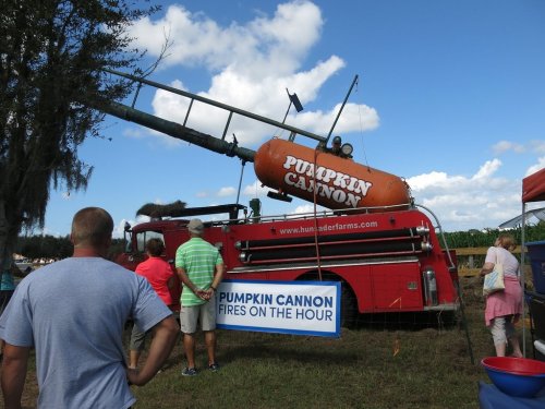A large red pumpkin cannon at a farm event, with spectators watching and a sign indicating it fires on the hour.