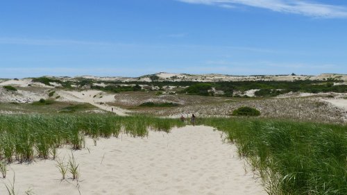 Two people walk along a sandy path through tall grass, surrounded by rolling dunes under a clear blue sky.