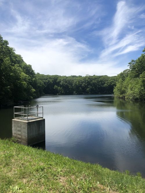 A calm lake surrounded by lush greenery under a blue sky with wispy clouds, featuring a small concrete platform.