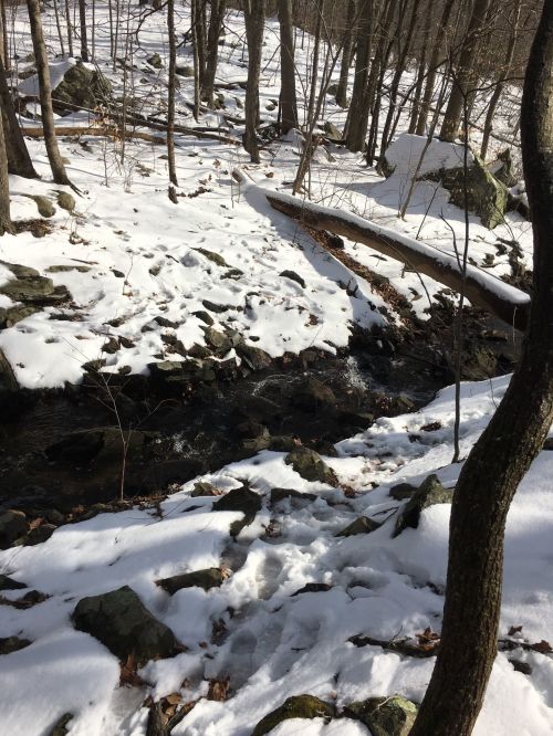 A snowy landscape with a small stream flowing through rocky terrain, surrounded by trees and boulders.