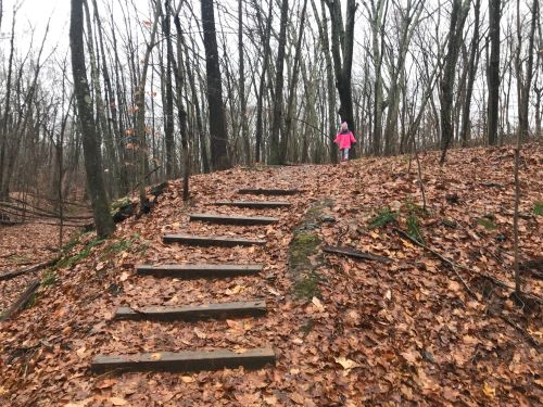 A child in a pink coat walks up a leaf-covered path with wooden steps in a wooded area during autumn.