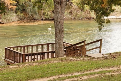 A wooden dock by a calm river, with ducks walking nearby and trees lining the shore.