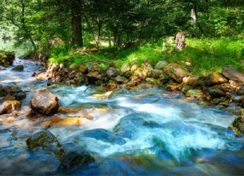 A serene river flows over rocks, surrounded by lush greenery and trees in a peaceful natural setting.