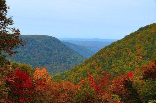 A scenic view of rolling hills covered in vibrant autumn foliage, with a clear sky above.