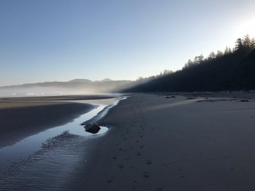 A serene beach at dawn, with gentle waves, a winding stream, and misty mountains in the background. Footprints in the sand.