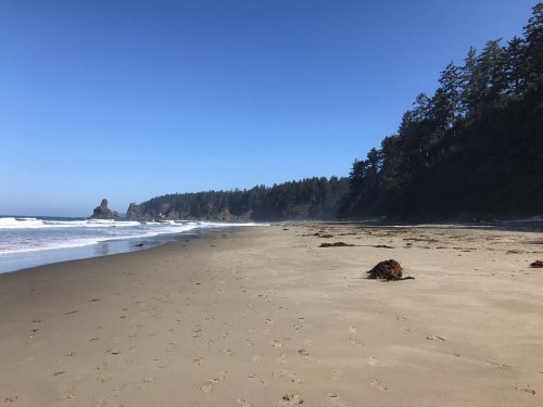 A sandy beach with gentle waves, surrounded by lush green trees and a clear blue sky.