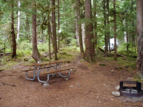 A serene campsite in a forest, featuring a picnic table, fire pit, and tall trees surrounding a gravel area.
