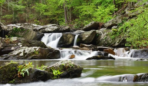 A serene waterfall cascades over rocks, surrounded by lush green foliage and a calm river.