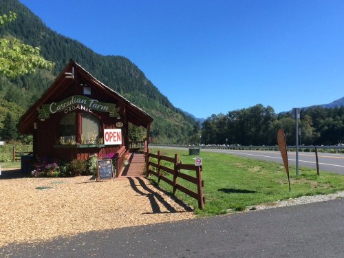 A rustic farm stand with an "Open" sign, surrounded by mountains and greenery, along a sunny roadside.