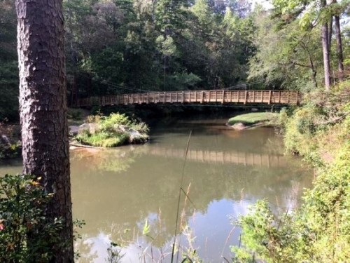 A serene pond surrounded by trees, featuring a wooden bridge crossing over the water.