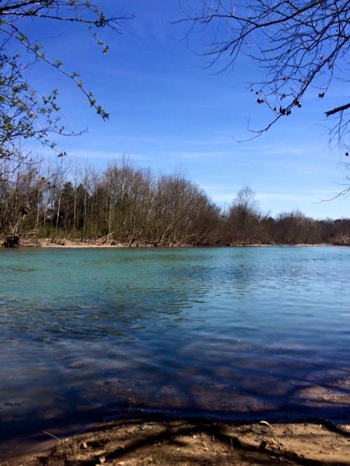 A serene river scene with clear blue water, surrounded by trees and a bright blue sky.