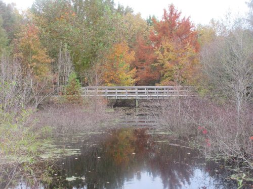 A wooden bridge spans a calm pond, surrounded by trees displaying autumn colors.