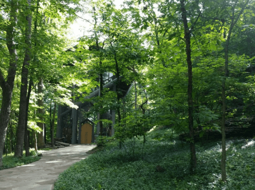 A pathway leads through lush greenery to a modern glass structure nestled among trees.