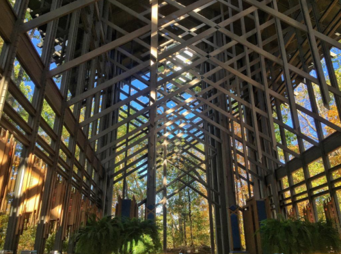 Interior view of a modern wooden structure with a crisscross pattern, surrounded by trees and blue sky.