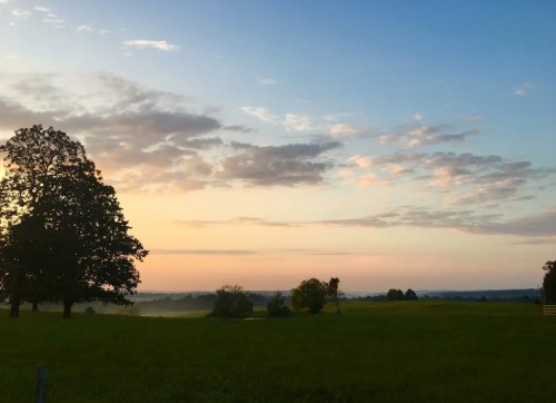 A serene landscape at sunset, featuring green fields, trees, and a colorful sky with scattered clouds.